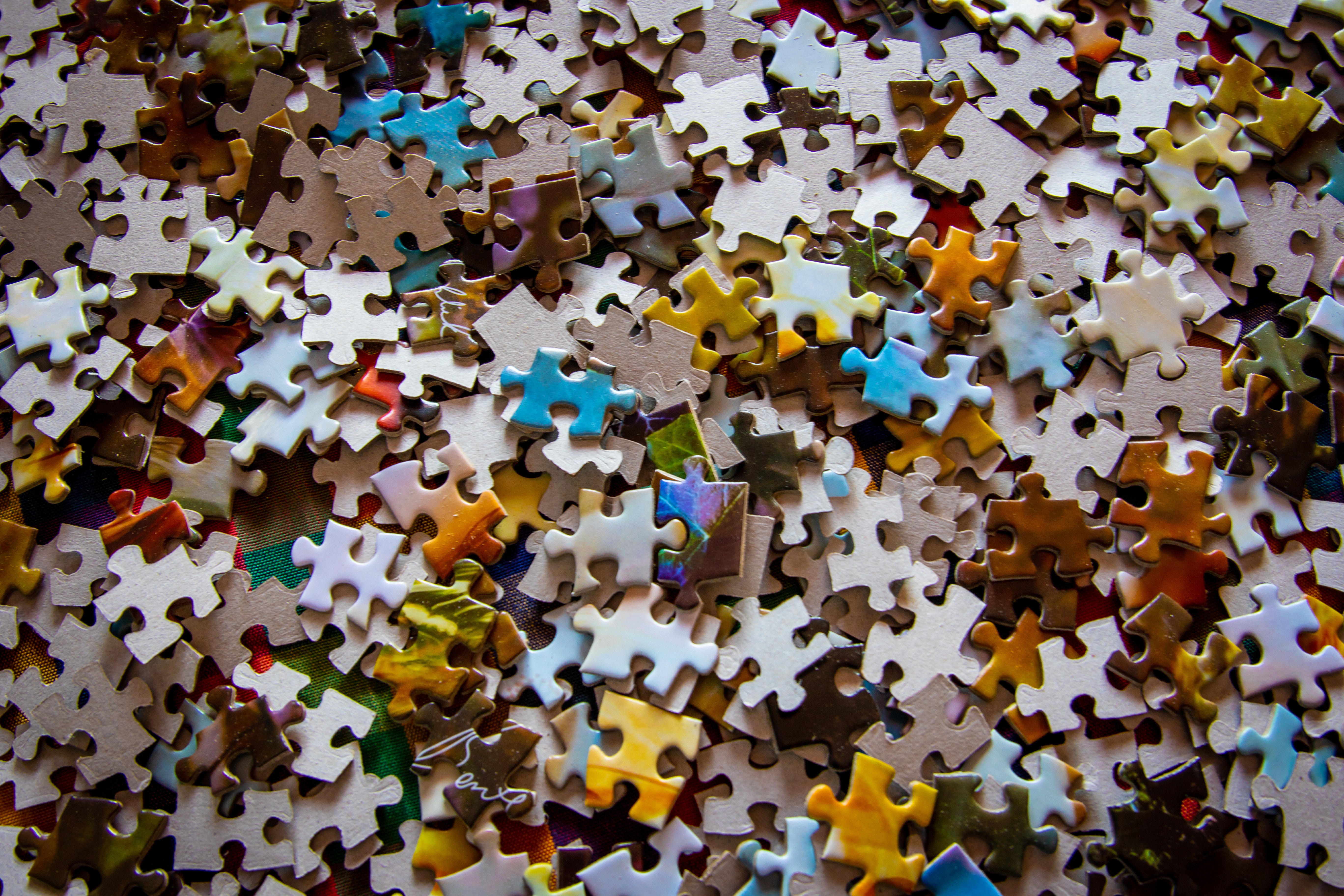 The Importance of Diverse Perspectives in Beta Reading